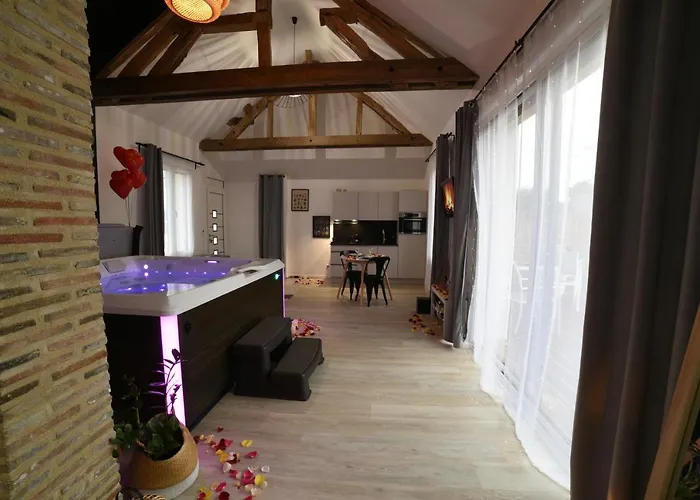 Eaudyssee Maison Avec Spa Privee - Loiret